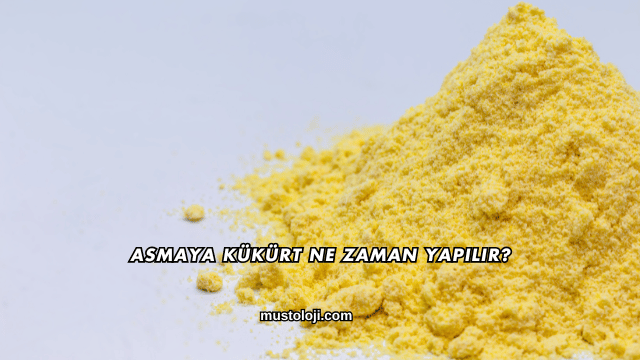 Asmaya Kükürt Ne Zaman Yapılır?