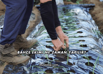Bahçe Ekimi Ne Zaman Yapılır?