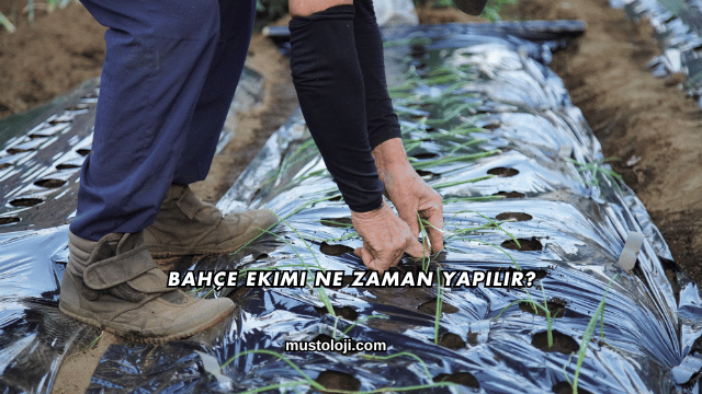 Bahçe Ekimi Ne Zaman Yapılır?