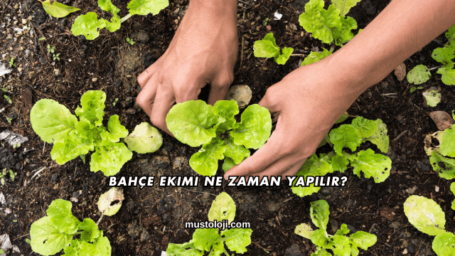 Bahçe Ekimi Ne Zaman Yapılır?