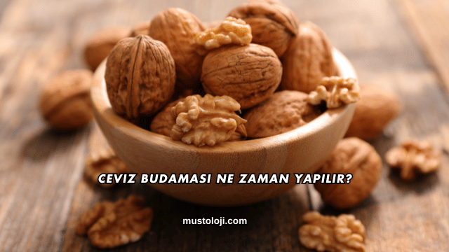 Ceviz Budaması Ne Zaman Yapılır?