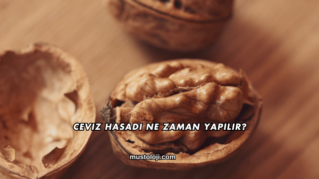 Ceviz Hasadı Ne Zaman Yapılır?