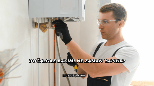 Doğalgaz Bakımı Ne Zaman Yapılır?