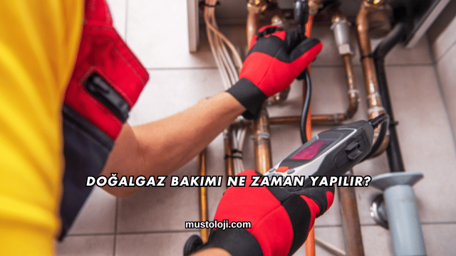Doğalgaz Bakımı Ne Zaman Yapılır?