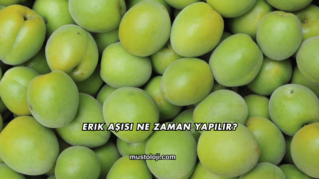 Erik Aşısı Ne Zaman Yapılır?