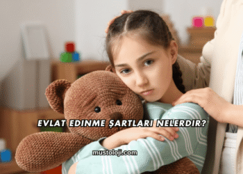 Evlat Edinme Şartları Nelerdir?
