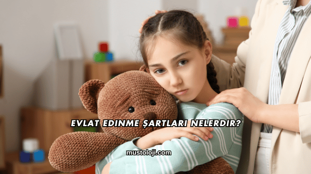 Evlat Edinme Şartları Nelerdir?