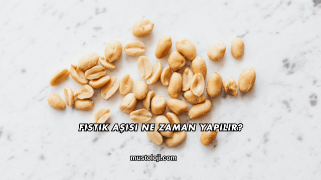 Fıstık Aşısı Ne Zaman Yapılır?