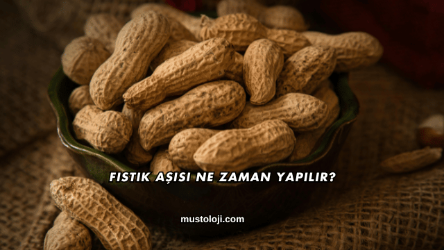 Fıstık Aşısı Ne Zaman Yapılır?
