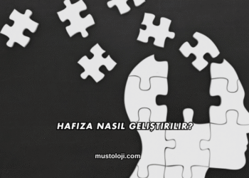 Hafıza Nasıl Geliştirilir?