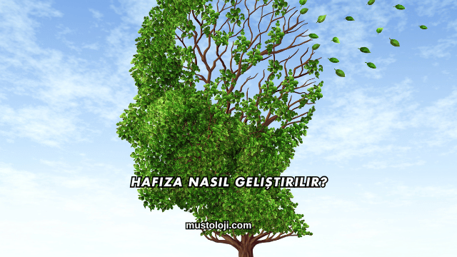Hafıza Nasıl Geliştirilir?