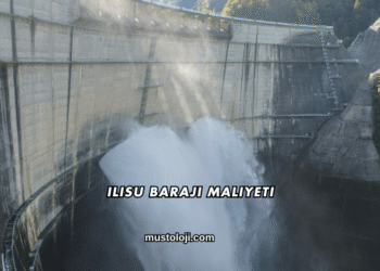 Ilısu Barajı Maliyeti