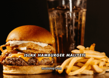 Islak Hamburger Maliyeti