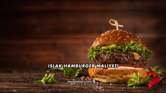 Islak Hamburger Maliyeti