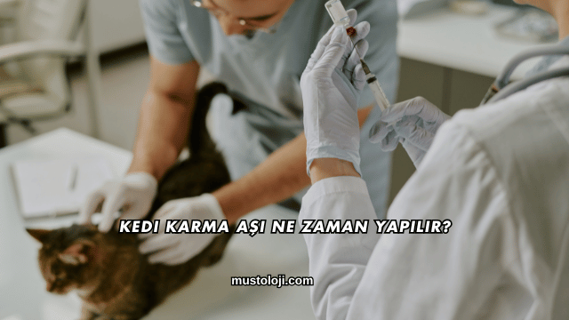 Kedi Karma Aşı Ne Zaman Yapılır?