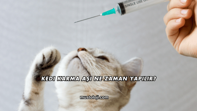 Kedi Karma Aşı Ne Zaman Yapılır?