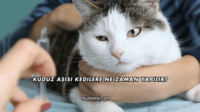 Kuduz Aşısı Kedilere Ne Zaman Yapılır?