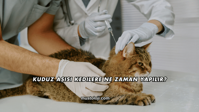 Kuduz Aşısı Kedilere Ne Zaman Yapılır?