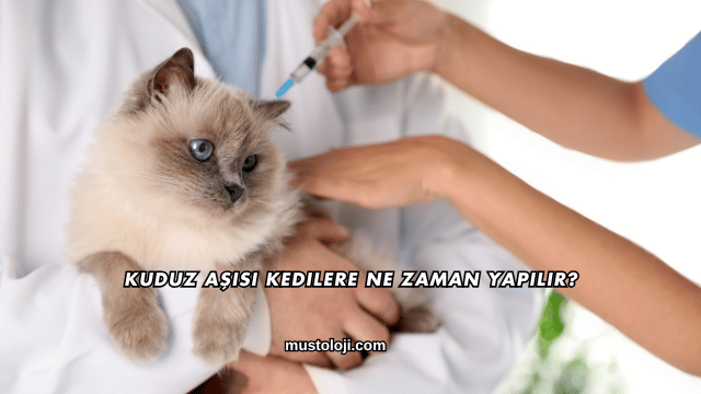 Kuduz Aşısı Kedilere Ne Zaman Yapılır?