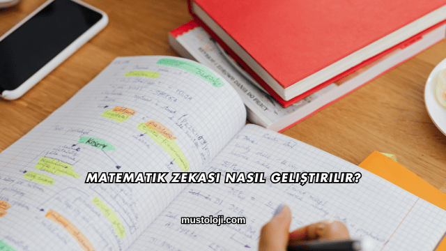 Matematik Zekası Nasıl Geliştirilir?