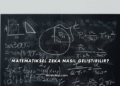 Matematiksel Zeka Nasıl Geliştirilir?