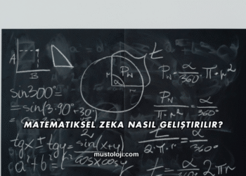 Matematiksel Zeka Nasıl Geliştirilir?