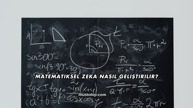 Matematiksel Zeka Nasıl Geliştirilir?
