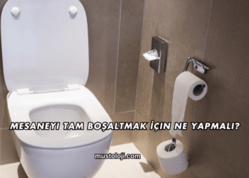 Mesaneyi Tam Boşaltmak İçin Ne Yapmalı?