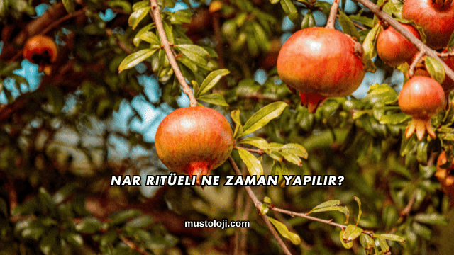 Nar Ritüeli Ne Zaman Yapılır?