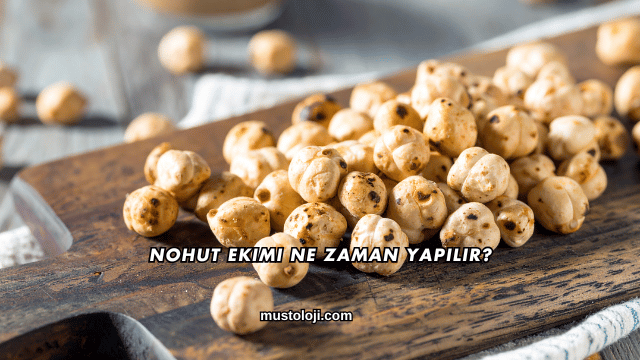 Nohut Ekimi Ne Zaman Yapılır?