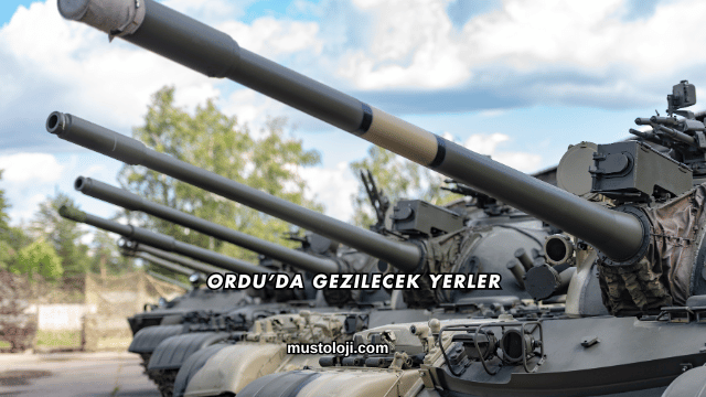 Ordu’da Gezilecek Yerler