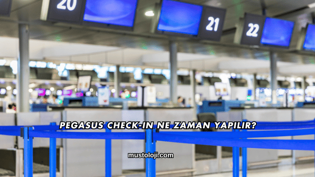 Pegasus Check-in Ne Zaman Yapılır?