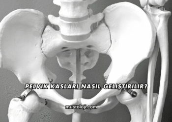 Pelvik Kasları Nasıl Geliştirilir?