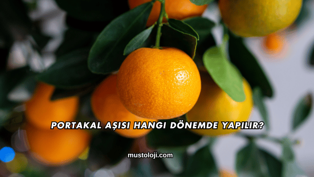 Portakal Aşısı Hangi Dönemde Yapılır?