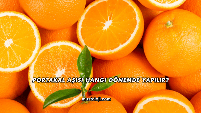 Portakal Aşısı Hangi Dönemde Yapılır?