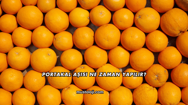 Portakal Aşısı Ne Zaman Yapılır?