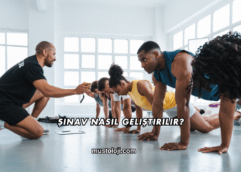 Şınav Nasıl Geliştirilir?