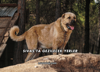 Sivas’ta Gezilecek Yerler