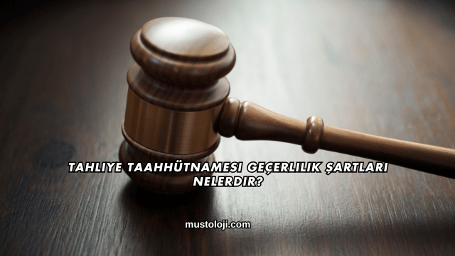 Tahliye Taahhütnamesi Geçerlilik Şartları Nelerdir?