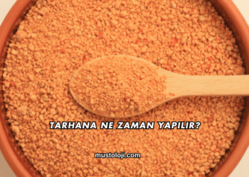 Tarhana Ne Zaman Yapılır?