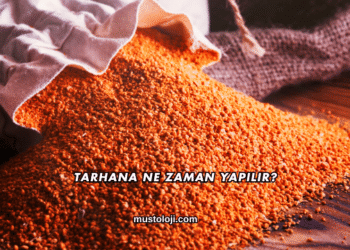Tarhana Ne Zaman Yapılır?