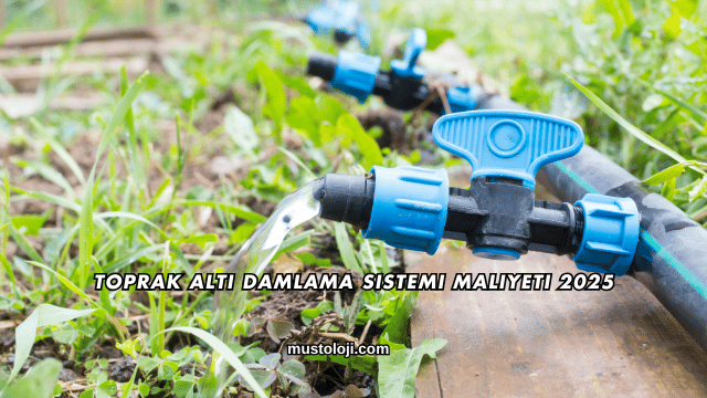 Toprak Altı Damlama Sistemi Maliyeti 2025