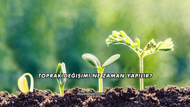 Toprak Değişimi Ne Zaman Yapılır?