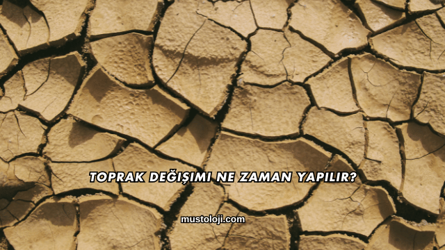 Toprak Değişimi Ne Zaman Yapılır?