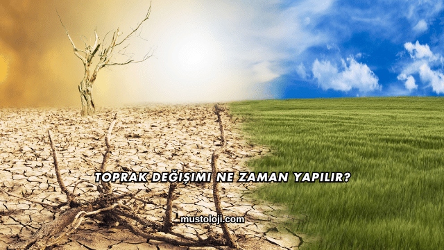 Toprak Değişimi Ne Zaman Yapılır?