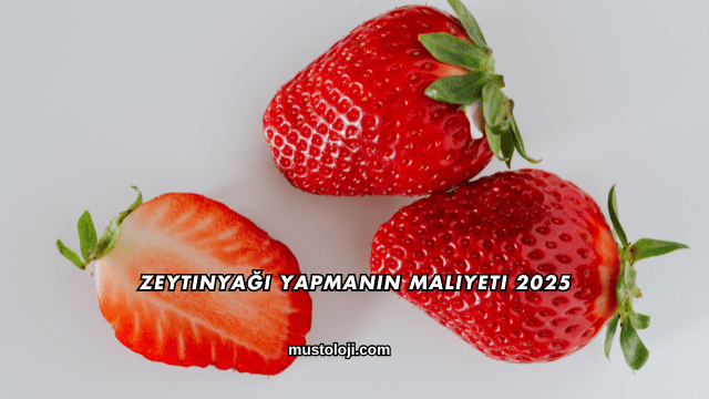 Topraksız Çilek Maliyeti 2025