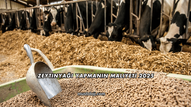Yem Maliyeti Nasıl Düşürülür?