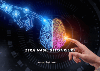 Zeka Nasıl Geliştirilir?