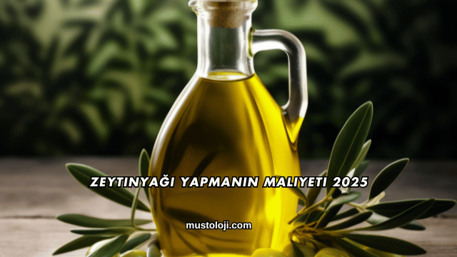 Zeytinyağı Yapmanın Maliyeti 2025