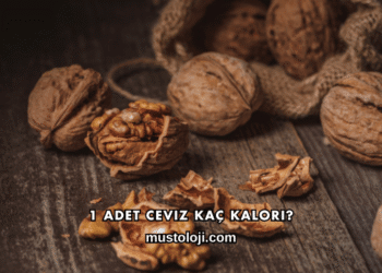 1 Adet Ceviz Kaç Kalori?